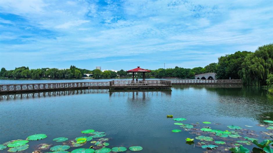 沪郊初秋的美藏在這5片湖光水色裡