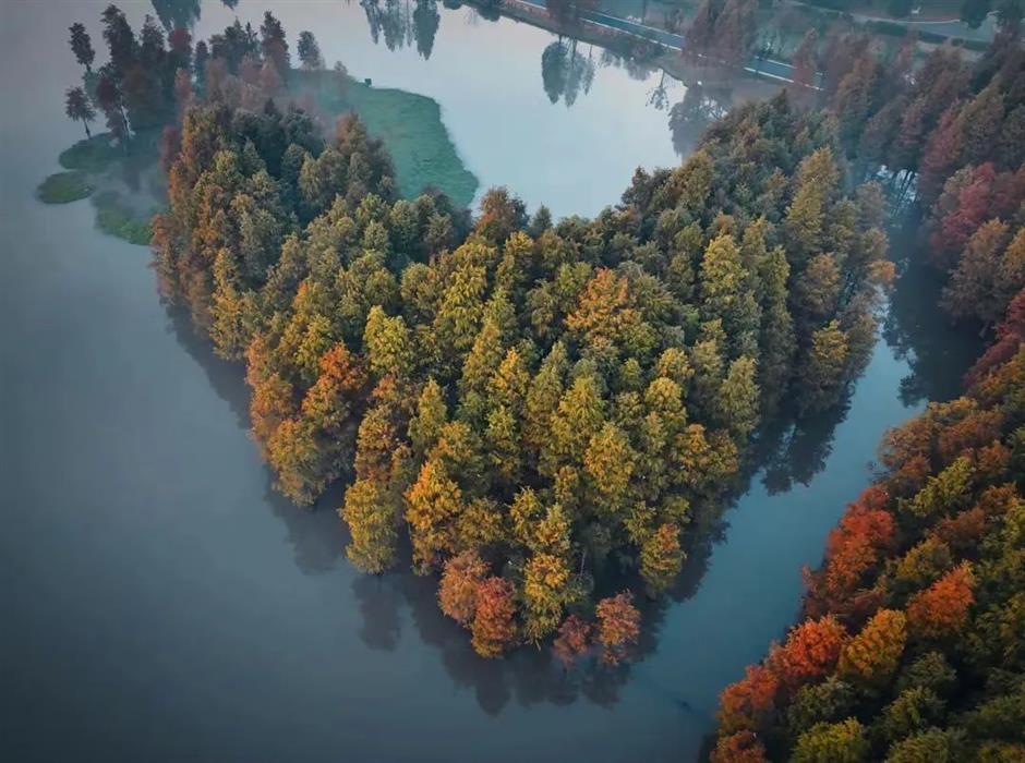 沪郊初秋的美藏在這5片湖光水色裡