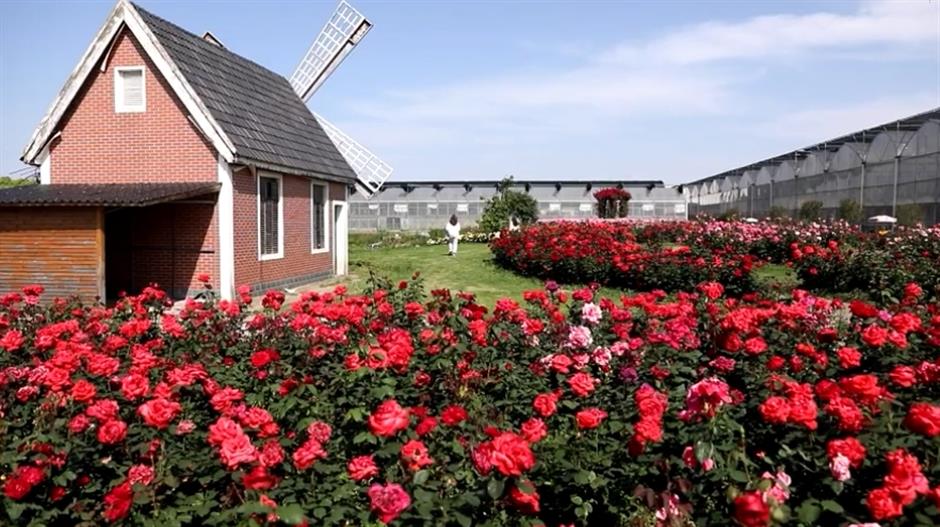 名单来了!上海旅游节62家景区(点)限时门票半价