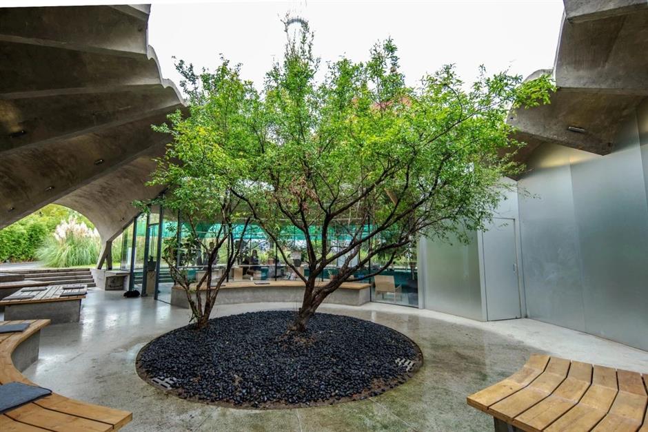 杨浦滨江宝藏Citywalk,就藏在这座公园里!