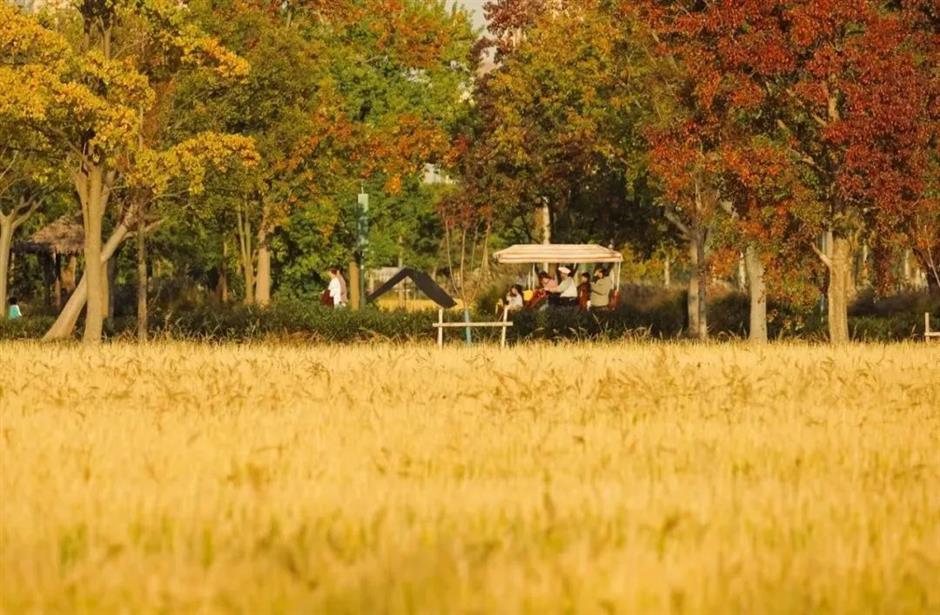 过节新花样,就在上海!