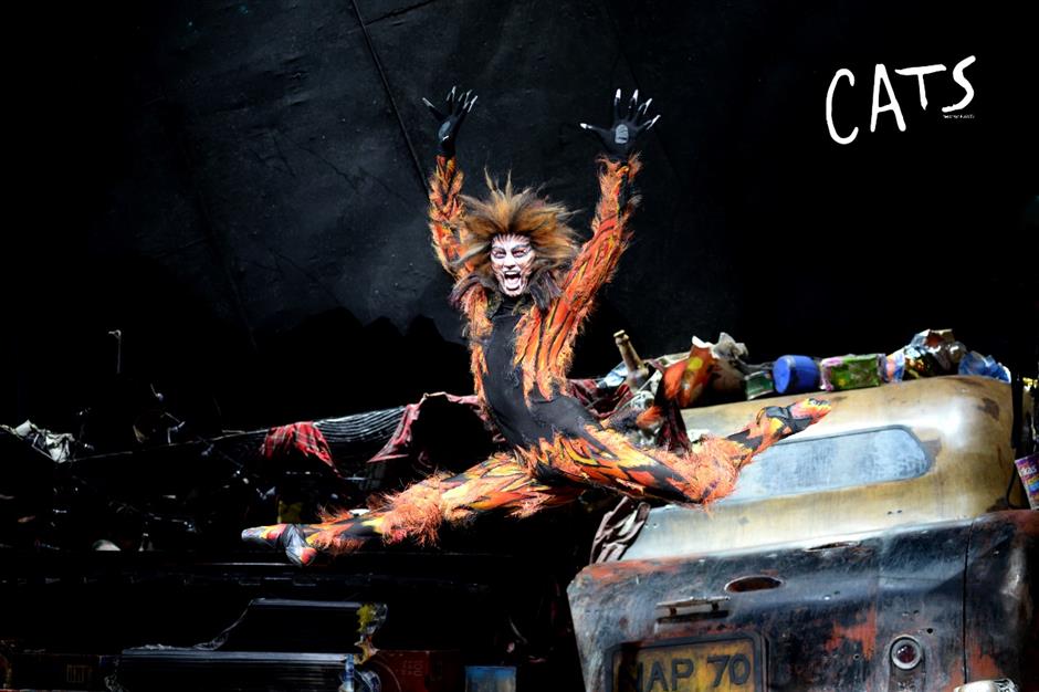 必看!原版伦敦西区音乐剧《猫》回来了!