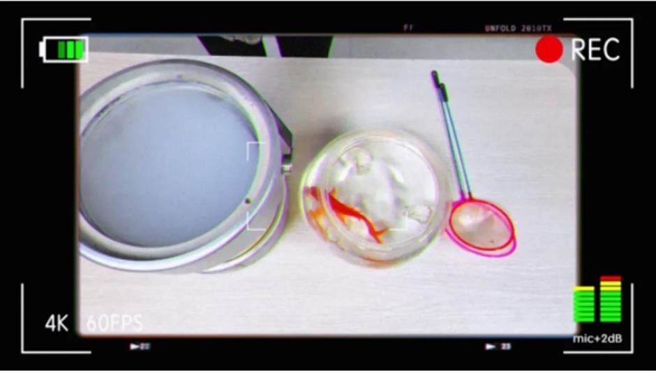 2024上海工業旅遊主題線路深度體驗項目——生命原能·探索無限