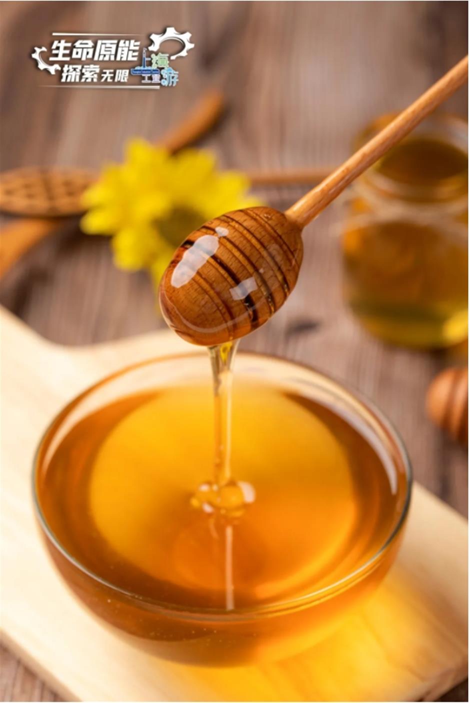 2024上海工業旅遊主題線路深度體驗項目——生命原能·探索無限