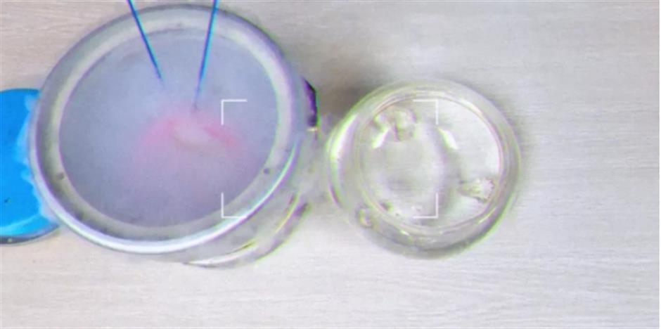 2024上海工業旅遊主題線路深度體驗項目——生命原能·探索無限