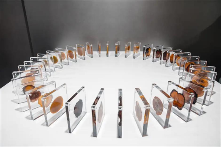 近千场演出、展览活动!第二十三届中国上海国际艺术节将于10月18日至11月17日举行