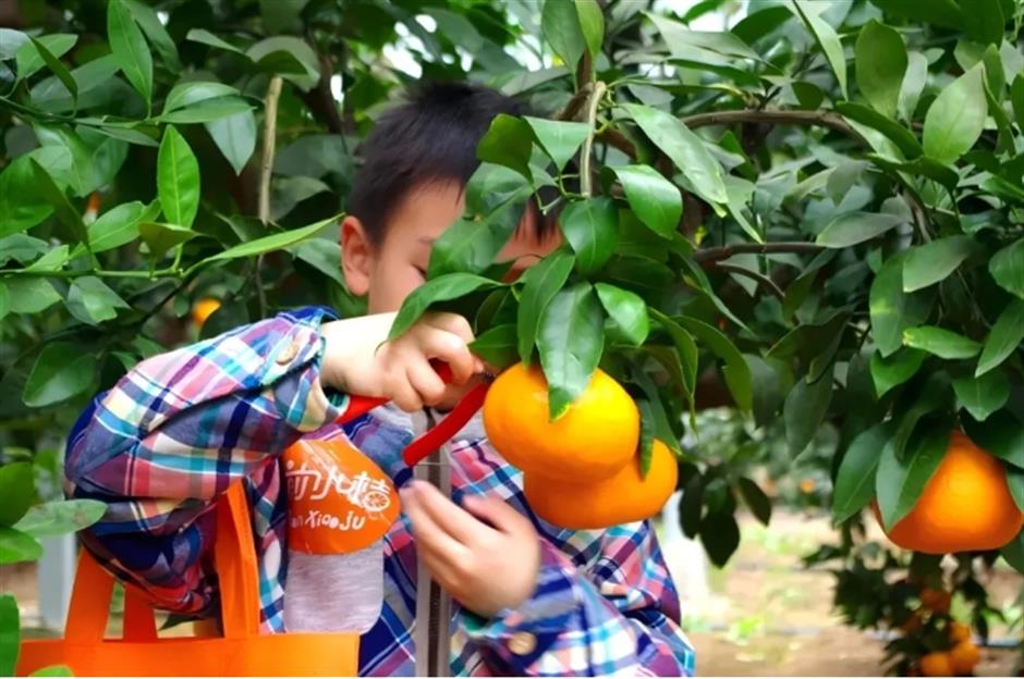 国庆大狂欢,马戏表演、复古市集!解锁公园无限欢乐