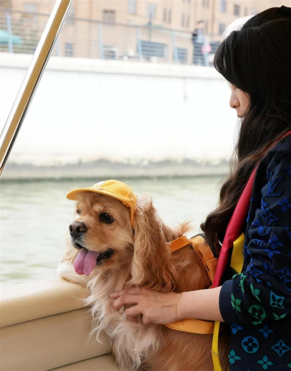 宠物友好航班来了!10月6日首航,快带萌宠来坐船体验吧