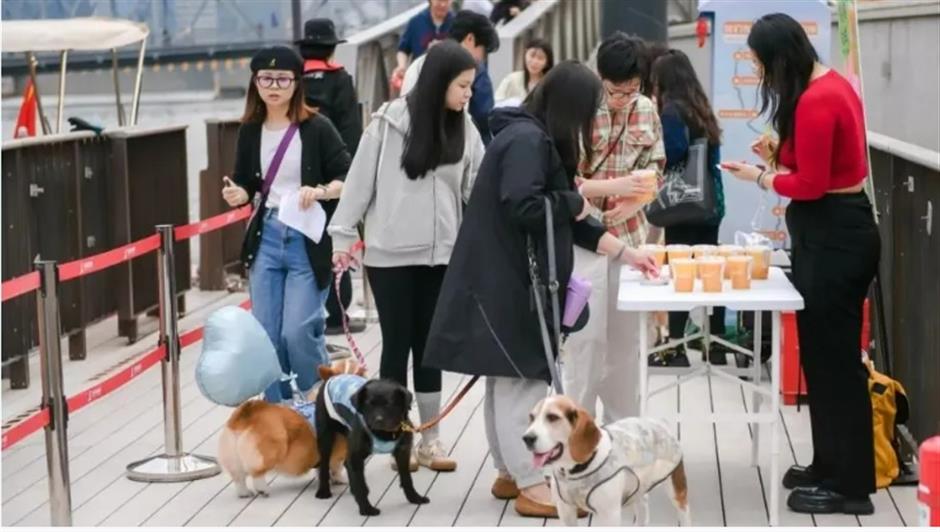 宠物友好航班来了!10月6日首航,快带萌宠来坐船体验吧