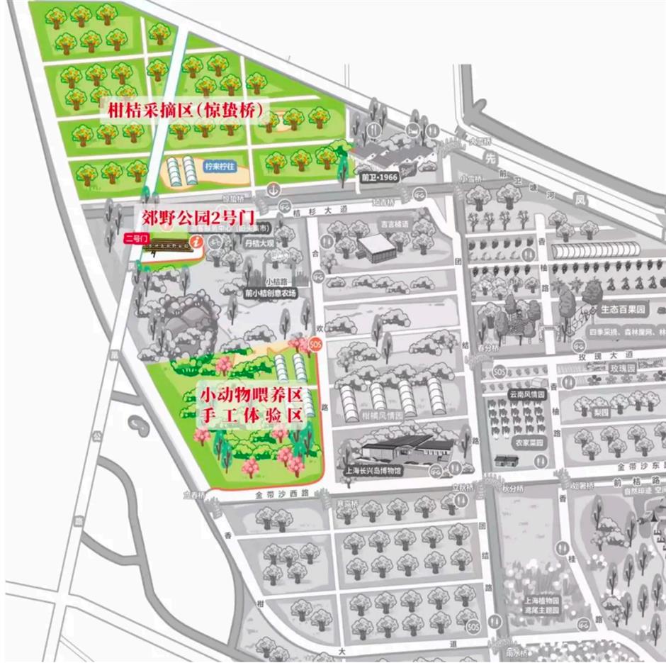长兴岛橘子熟了~柑桔采摘、动物喂养、手工活动,快来体验