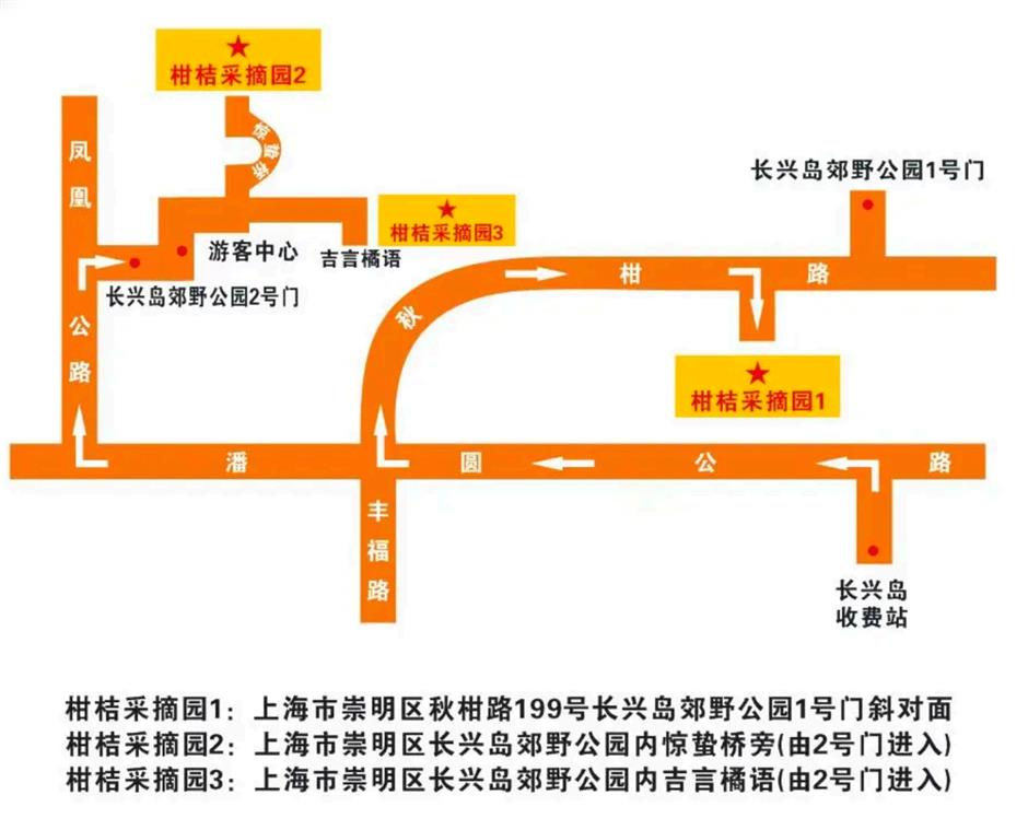 长兴岛橘子熟了~柑桔采摘、动物喂养、手工活动,快来体验
