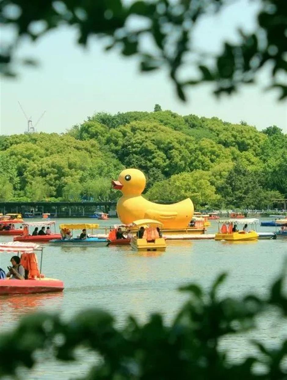 焕新改造倒计时!这座公园盛满大家的童年记忆