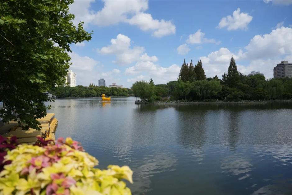 焕新改造倒计时!这座公园盛满大家的童年记忆