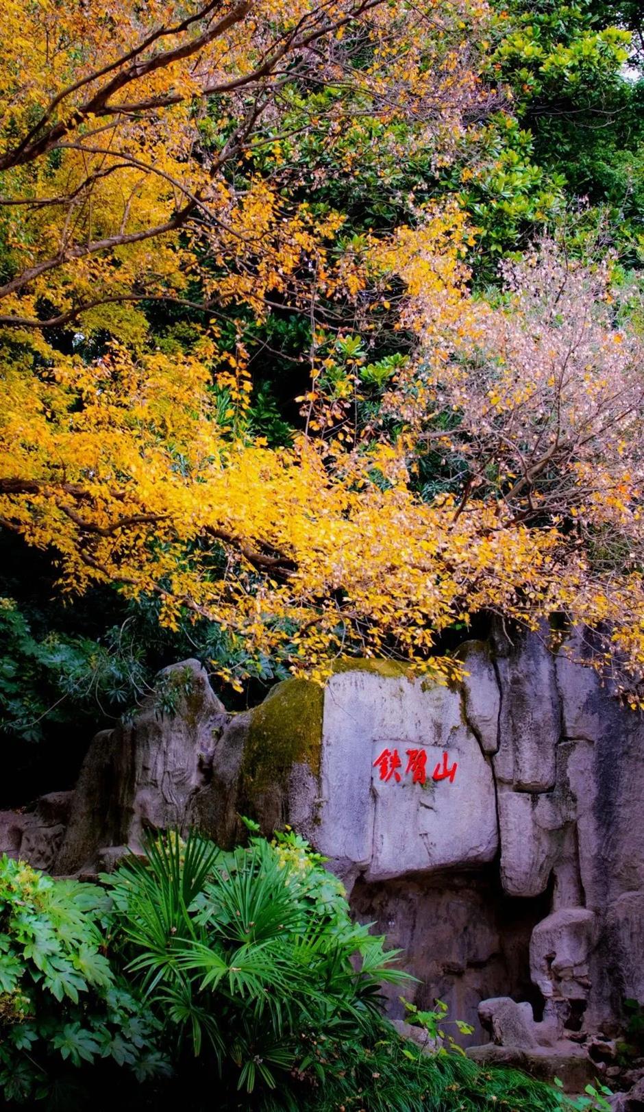 焕新改造倒计时!这座公园盛满大家的童年记忆