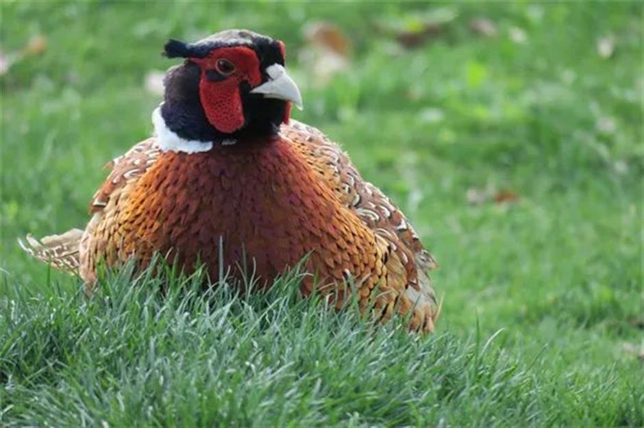 文旅部推薦!上海三條精品線路上榜