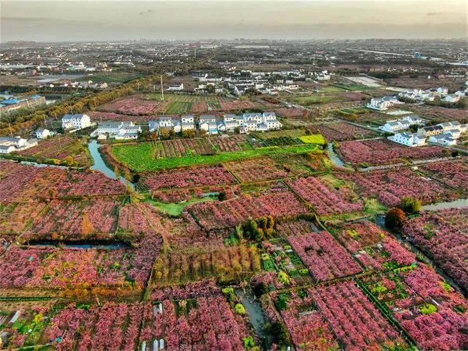 文旅部推薦!上海三條精品線路上榜