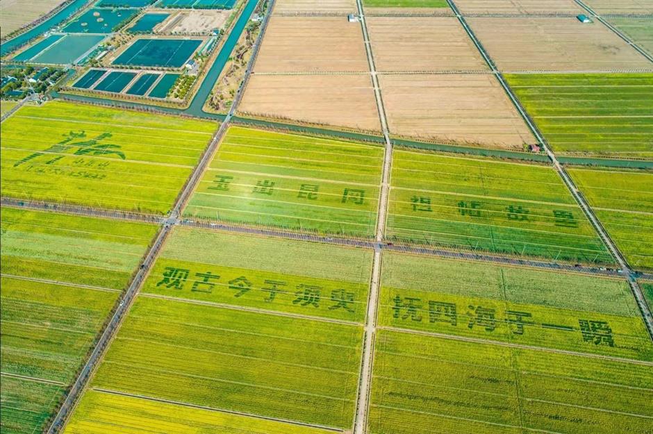 秋遊超適合騎行的6條線路,等你來→