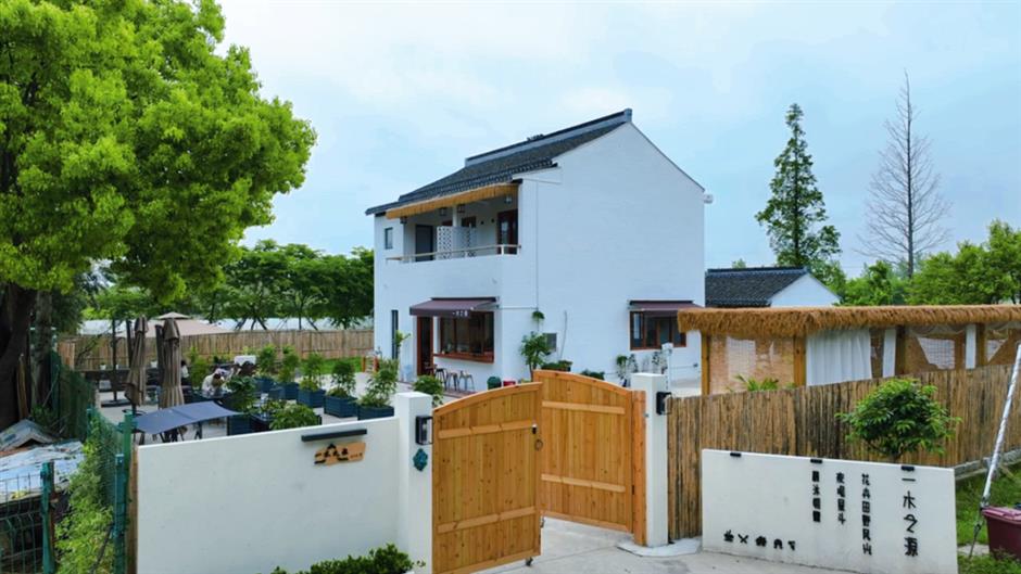 一夜爆紅!這裡是魔都當季最美鄉村