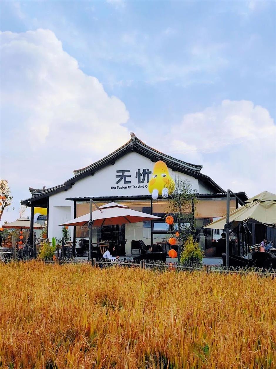 一夜爆紅!這裡是魔都當季最美鄉村