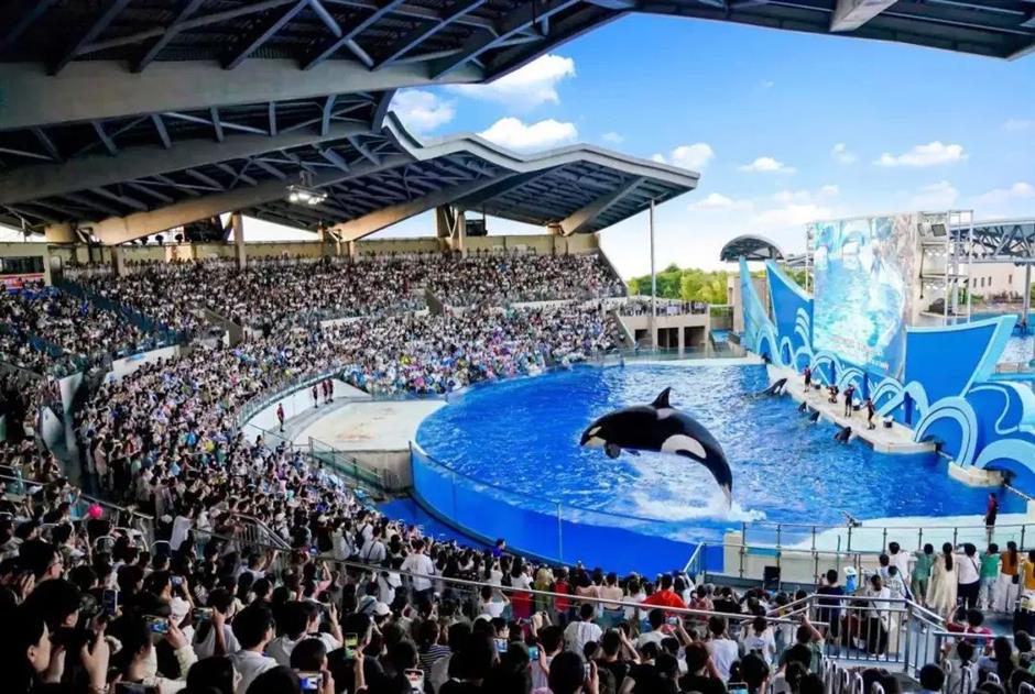 一年一度,喜人们的盛会又回来了!亮点抢先看→