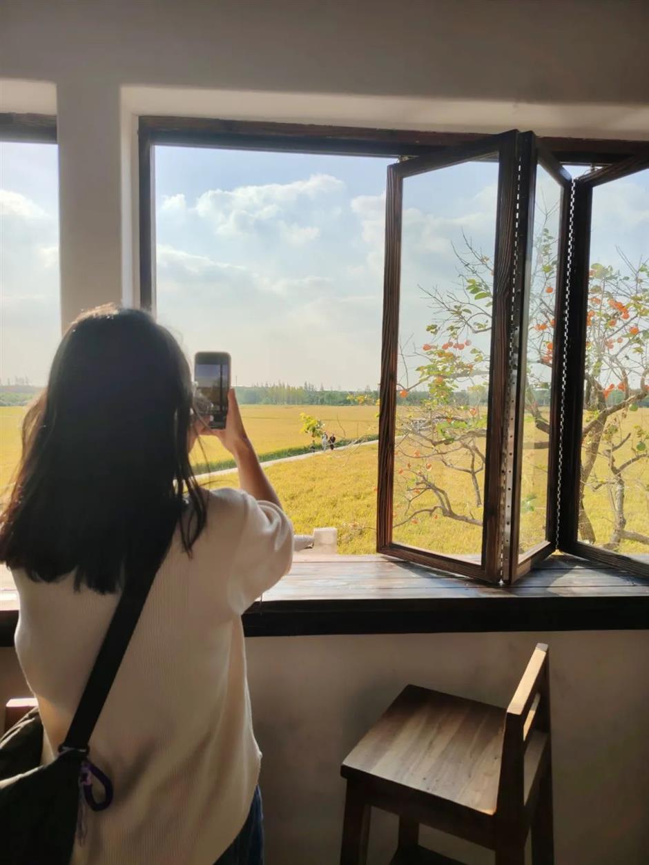 一夜爆紅!這裡是魔都當季最美鄉村