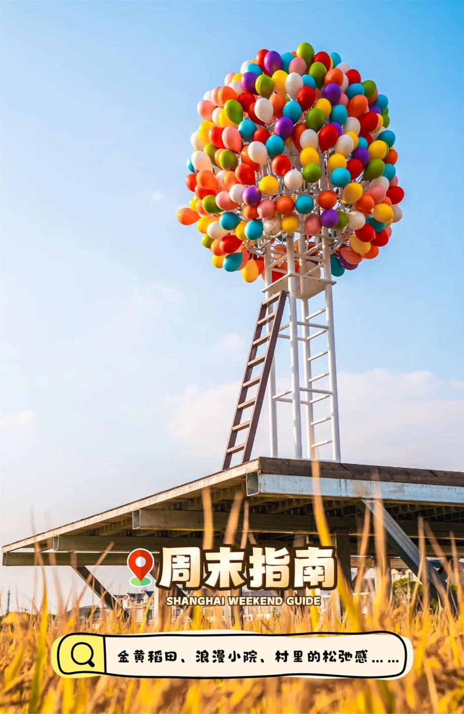 一夜爆紅!這裡是魔都當季最美鄉村