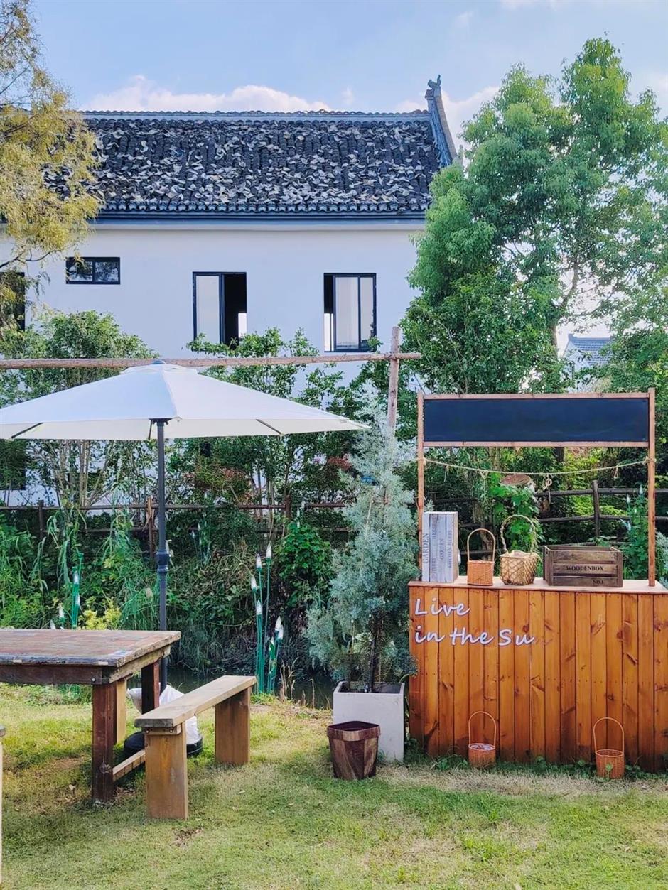 一夜爆紅!這裡是魔都當季最美鄉村