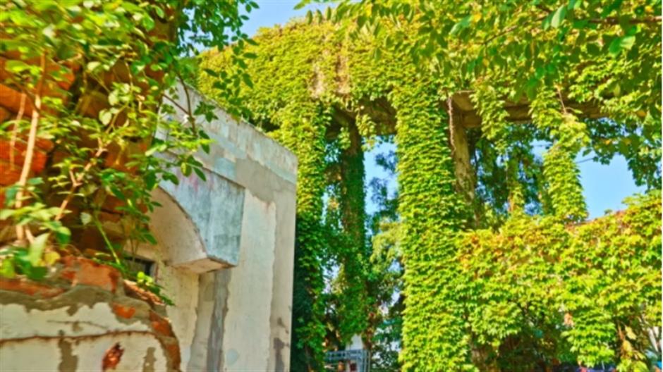 梦幻绿野仙踪里,竟然还有超多巨型装置!来魔都这个绝美艺术园区免费打卡