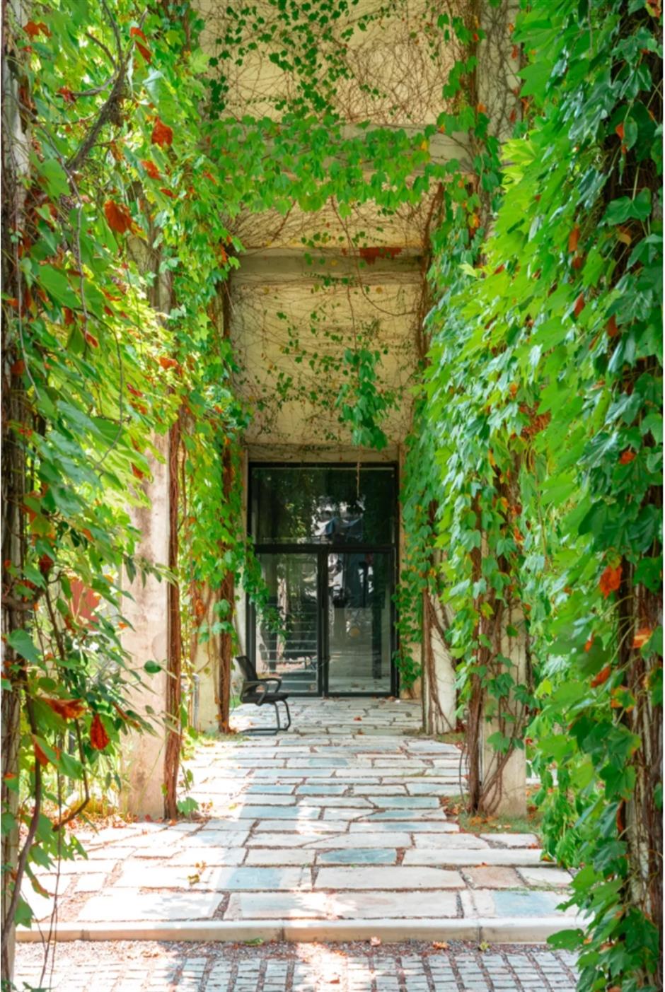 梦幻绿野仙踪里,竟然还有超多巨型装置!来魔都这个绝美艺术园区免费打卡