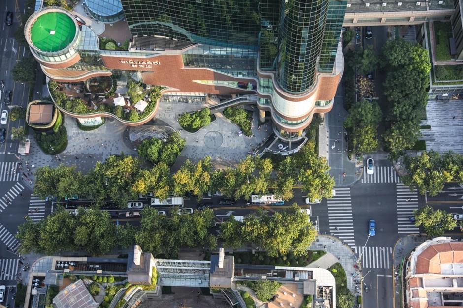 秋日盪馬路,別錯過梧桐樹下這些好去處→