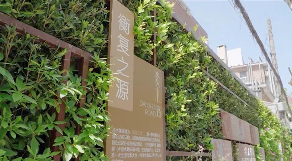 秋日盪馬路,別錯過梧桐樹下這些好去處→