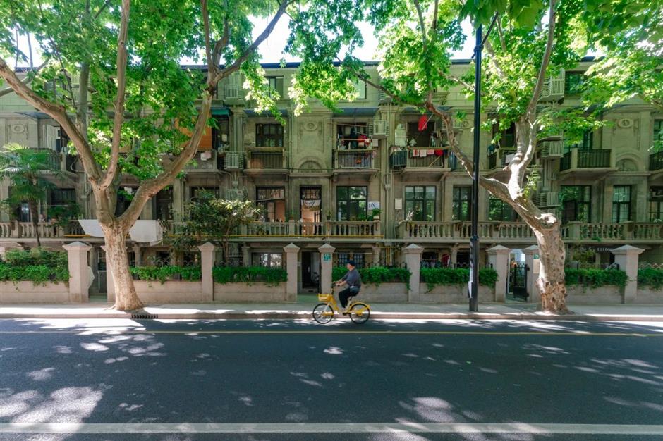 秋日盪馬路,別錯過梧桐樹下這些好去處→