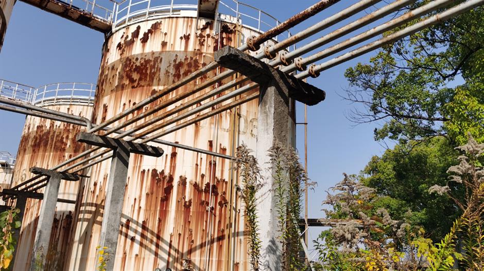 黄浦江边新增一个主题公园,灵额伐得了!