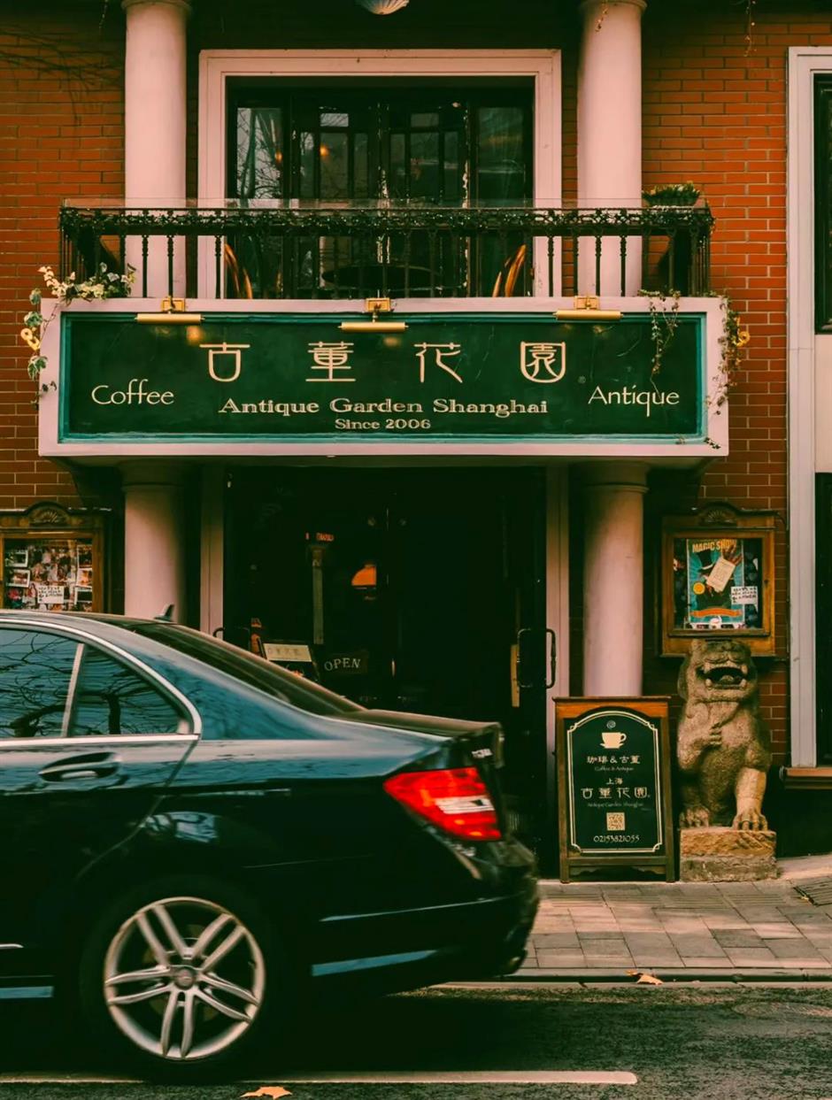 秋日盪馬路,別錯過梧桐樹下這些好去處→