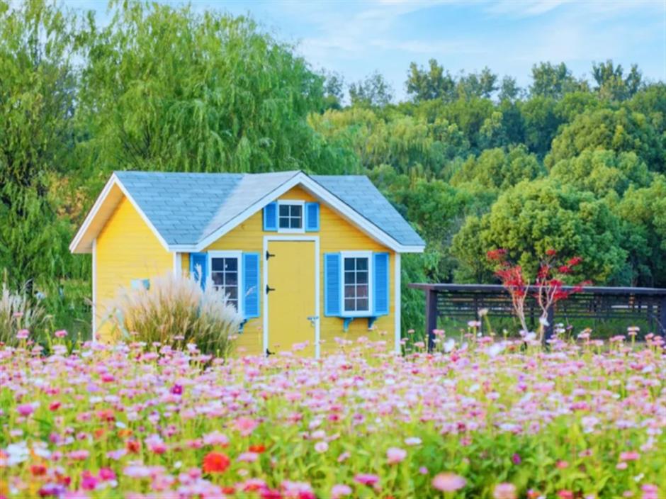 魔都絕美秋日花海上線