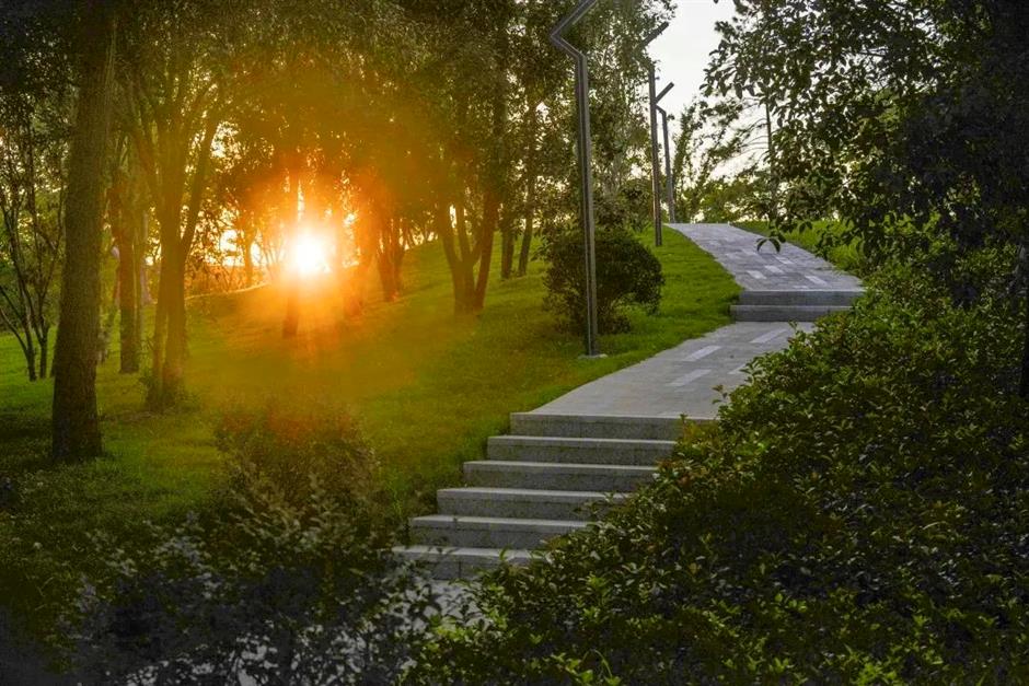 地鐵直達的「公園+」!好玩,好看,還24小時開放~