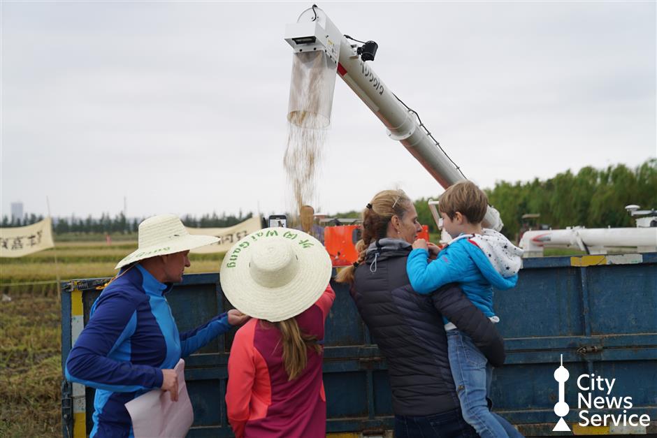 A field day for Shanghai's expats in Jiading District