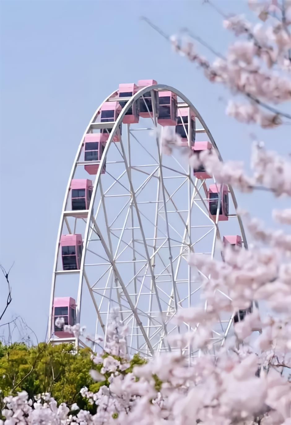 秋色正美!在雲端的摩天輪解鎖申城絕美視角