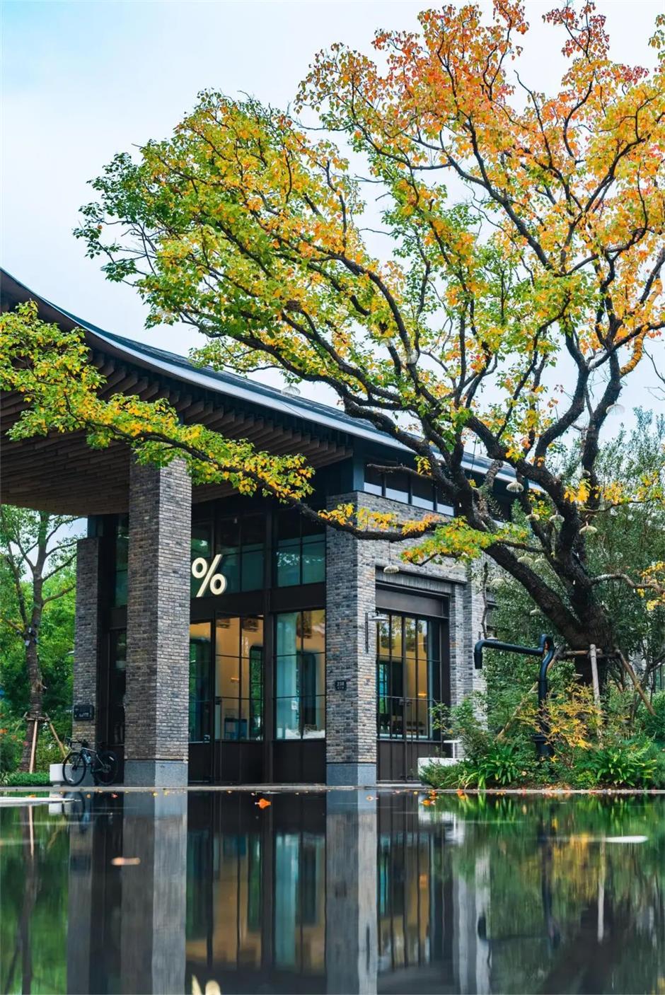 秋景上新!上海市中心的清幽秘境花园又变美了→