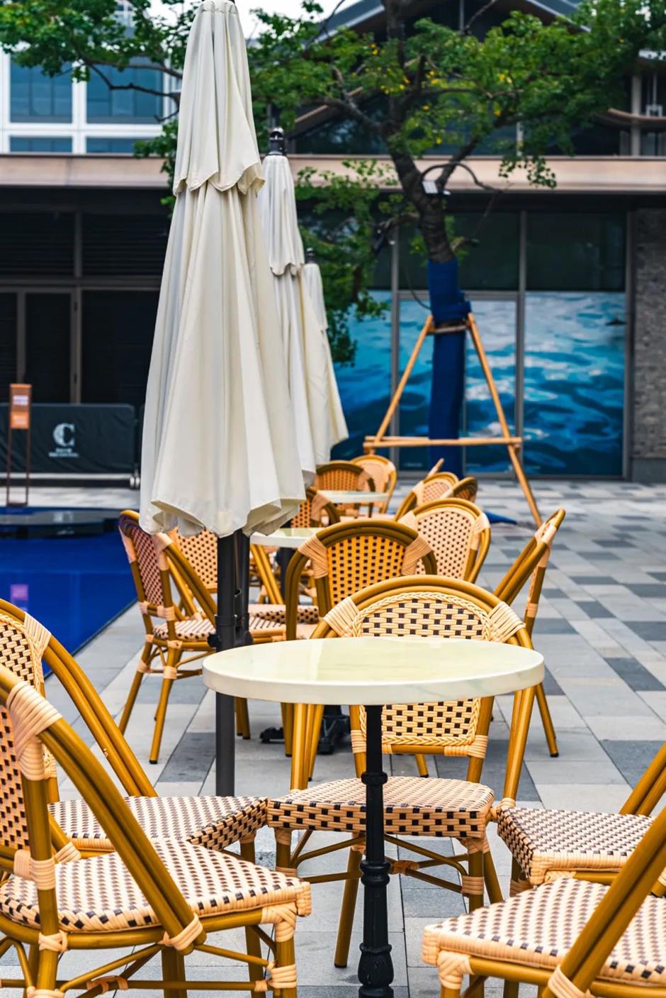 秋景上新!上海市中心的清幽秘境花园又变美了→