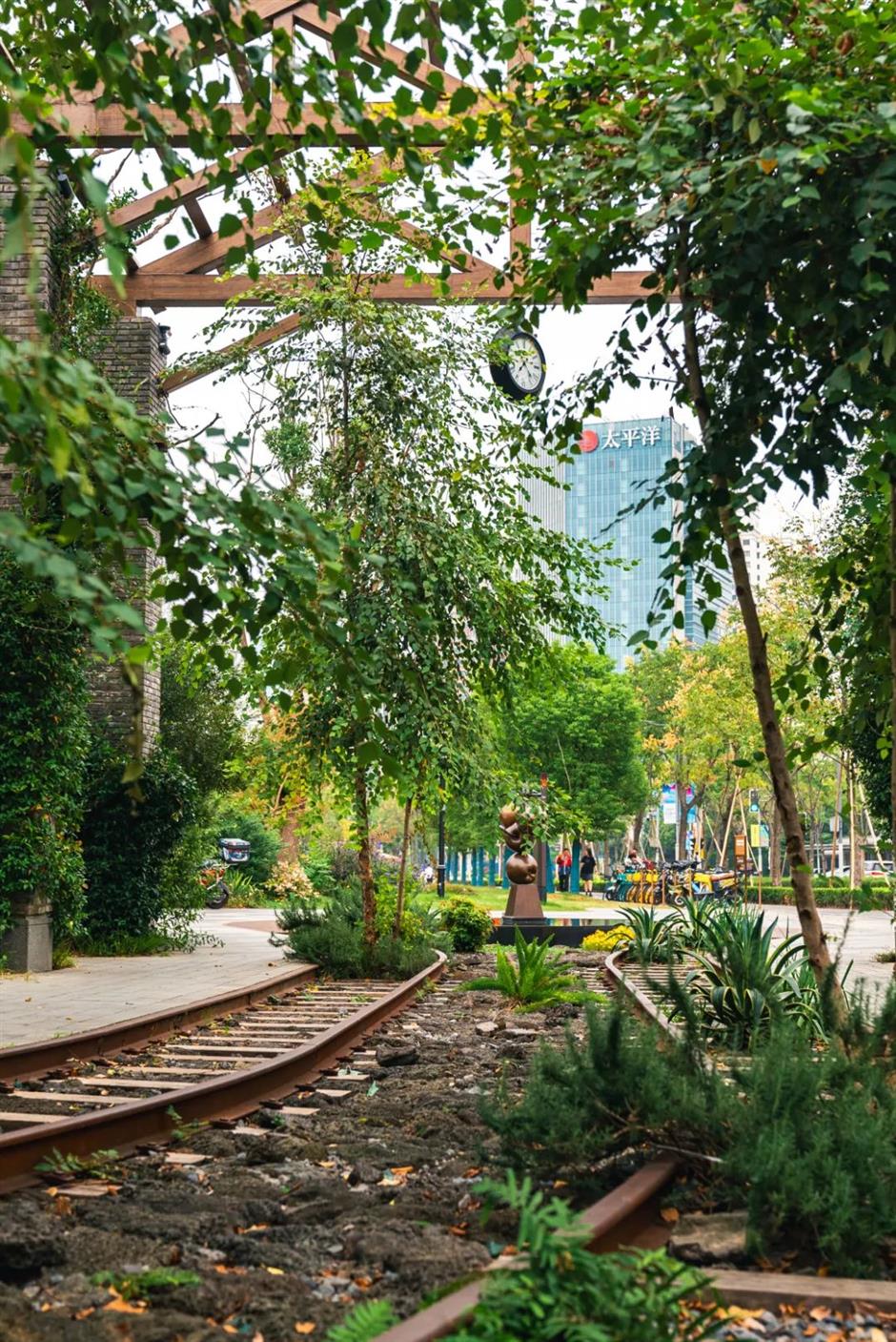 秋景上新!上海市中心的清幽秘境花园又变美了→