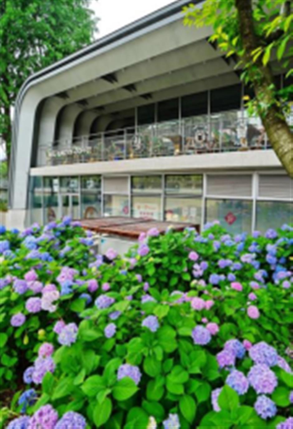 漫步·苏州河南岸