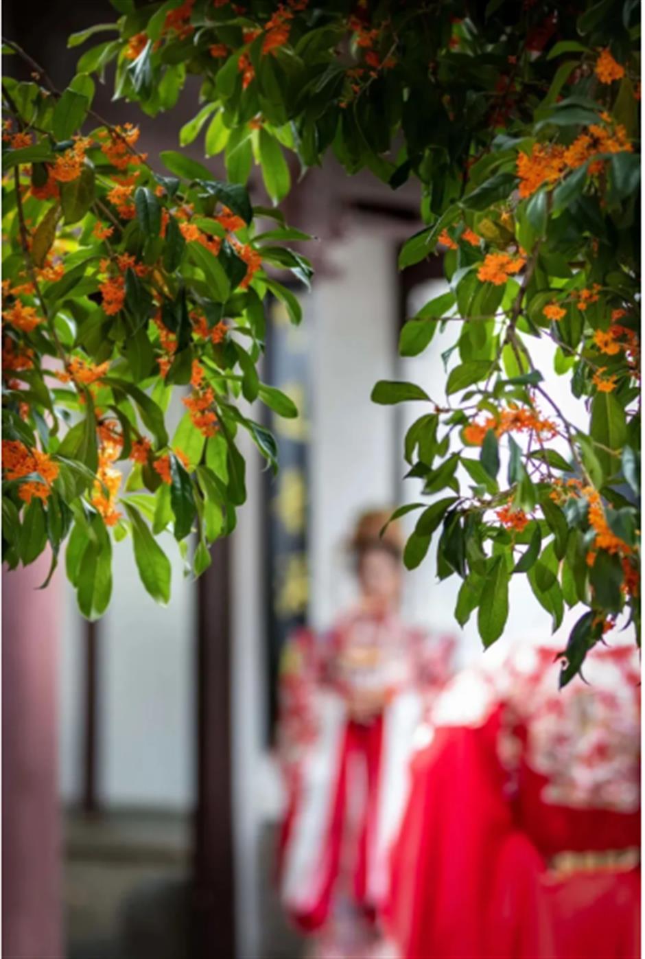 打卡明清古迹,开启一段时光之旅!