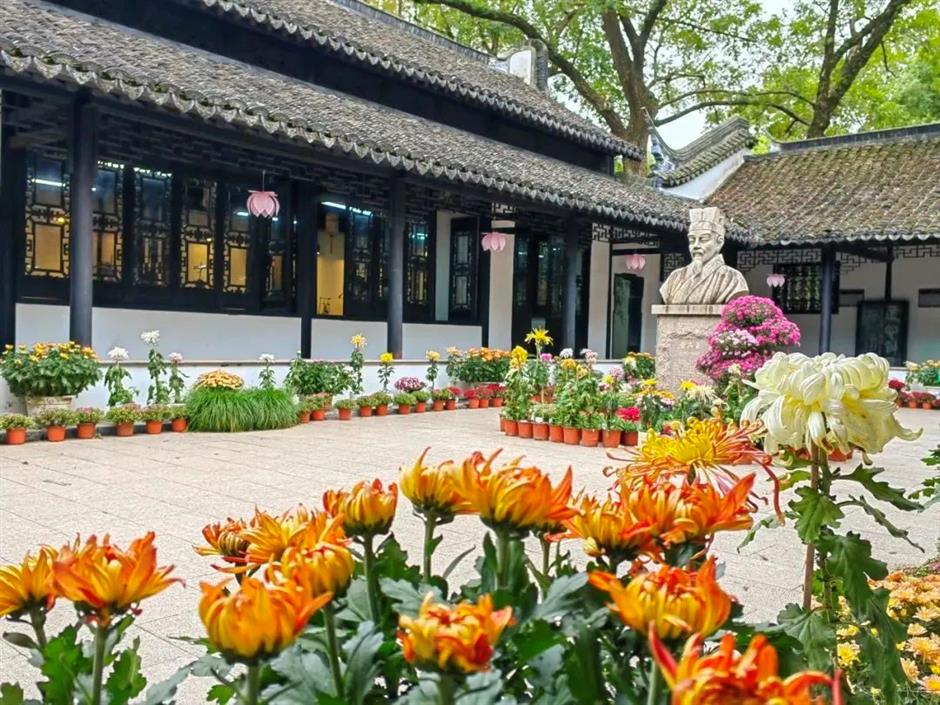 上海秋天另一「頂流」歸來!