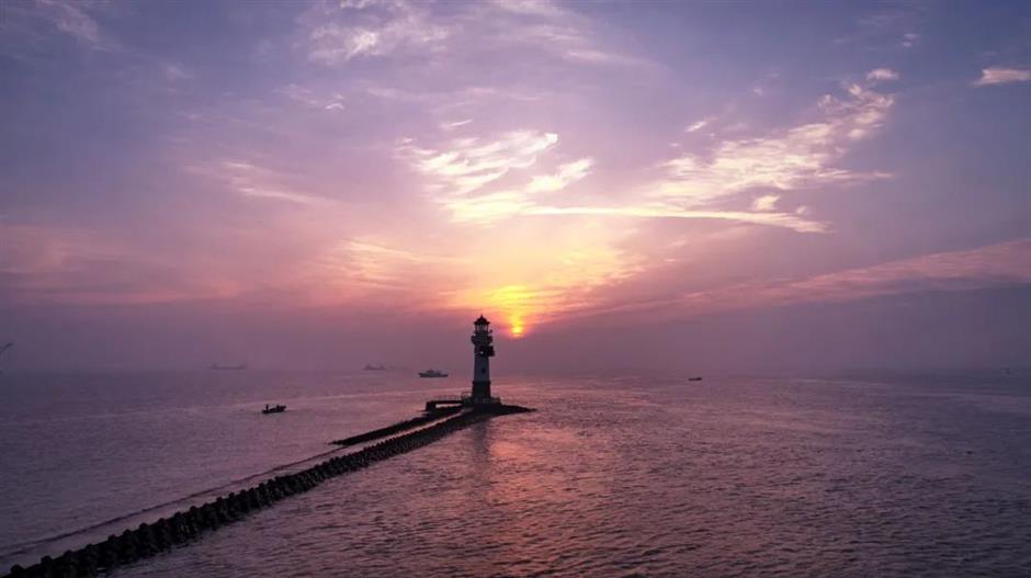 秋日滨江景观岸线,打卡点刷新啦~