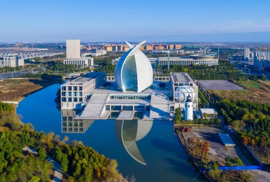 「進博專享·溢出聯動」,一證直達申城精彩!