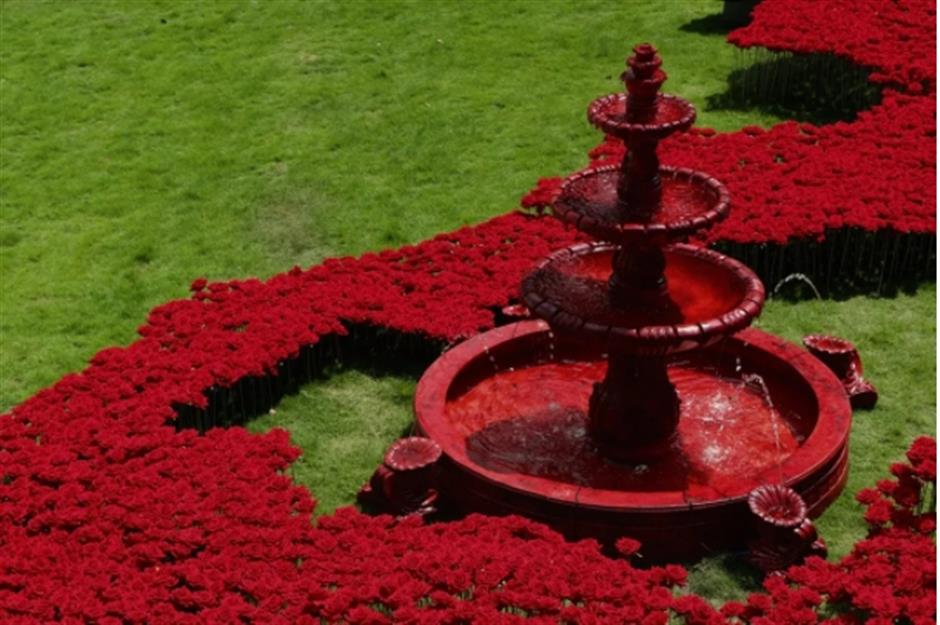 上海這個熱門地標,竟然種了10000朵玫瑰!