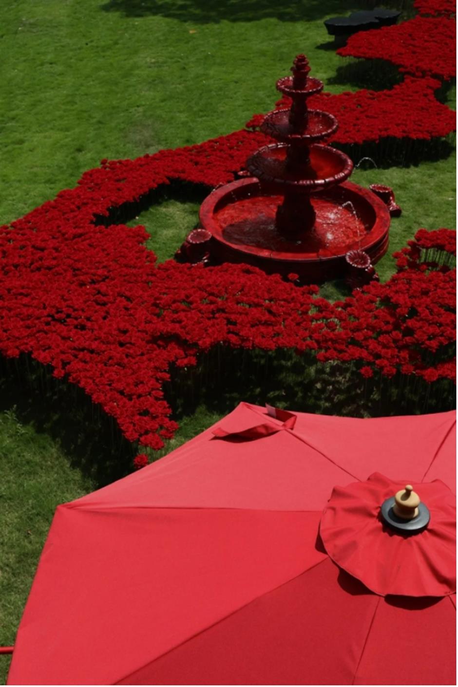 上海這個熱門地標,竟然種了10000朵玫瑰!