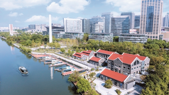 Putuo District showcases strength at 7th CIIE