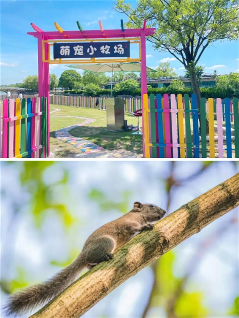 秋游正当时!别错过这些好玩的小众亲子乐园